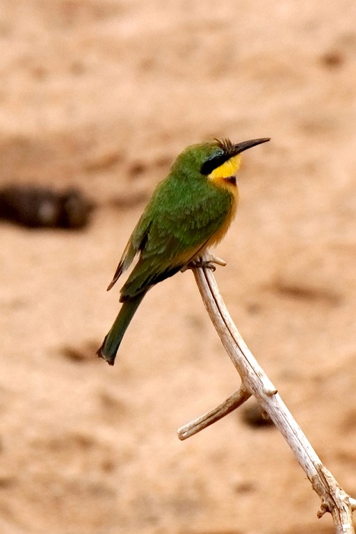 Kenia (341).jpg